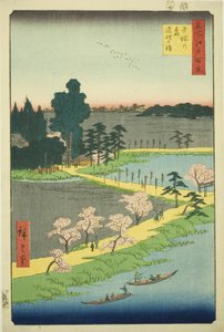 Die verflochtenen Kampferbäume am Azuma-Schrein (Azuma no mori Renri no azusa), aus der Serie "Hundert berühmte Ansichten von Edo (Meisho Edo hyakkei)"