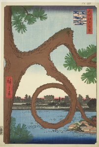Die Mondkiefer auf dem Tempelgelände in Ueno (Ueno sannai Tsuki no matsu), aus der Serie „Hundert berühmte Ansichten von Edo (Meisho Edo hyakkei)“ von Utagawa Hiroshige
