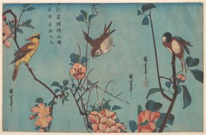Meise und Kamelien (rechts), Spatz und Wildrosen (Mitte), und Schwarznackenpirol und Kirschblüten (links) von Utagawa Hiroshige