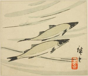 Forelle, Abschnitt eines Harimaze-Blattes von Utagawa Hiroshige