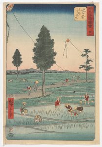 Achtundzwanzig, Fukuroi, Edo-Periode, 1855