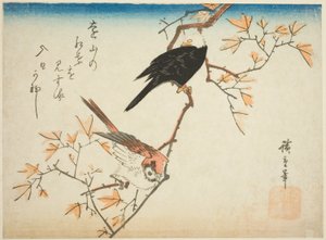 Zwei Vögel auf einem Ahornzweig von Utagawa Hiroshige