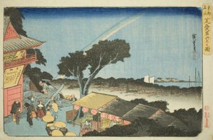 Blick vom Gipfel des Berges Atago in Shiba, aus der Serie "Berühmte Orte in der östlichen Hauptstadt" von Utagawa Hiroshige