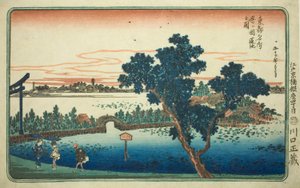 Blick auf den Lotus-Teich in Shinobugaoka (Shinobugaoka hasuike no zu), aus der Serie "Berühmte Ansichten der östlichen Hauptstadt (Toto Meisho)" von Utagawa Hiroshige