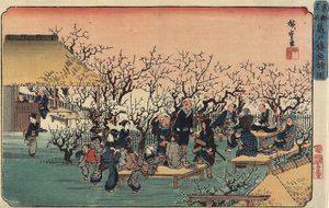 Ansicht des Pflaumengartens in Kameido, 1832-1834