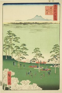 Blick nach Norden vom Asuka-Hügel, aus der Serie "Hundert berühmte Ansichten von Edo"
