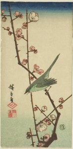 Grasmücke auf einem Pflaumenzweig von Utagawa Hiroshige