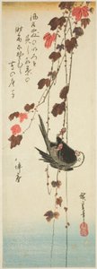 Weißköpfiger Vogel und Efeu von Utagawa Hiroshige