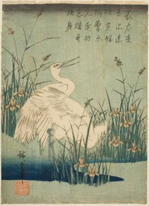 Weiße Reiher und Iris von Utagawa Hiroshige