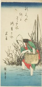 Frau sammelt Seetang von Utagawa Hiroshige