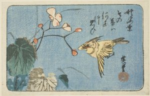 Gelber Vogel und Begonie von Utagawa Hiroshige