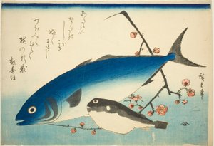 Gelbschwanz, Kugelfisch und Pflaumenzweig von Utagawa Hiroshige