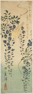 Kanarienvogel und Glyzinie von Utagawa Hiroshige II