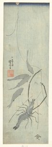 Languste und kleine Fische