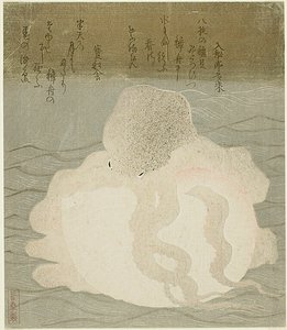 Oktopus und Muschel