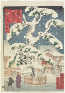 Rennyo-Kiefer bei Miyanomori von Utagawa Yoshitaki