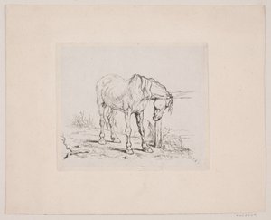 Ein altes Pferd von Valdemar Irminger