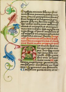 Geschmücktes Initial A von Valentine Noh
