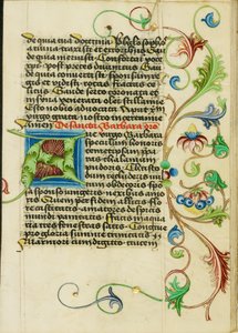 Dekorierte Initiale A von Valentine Noh