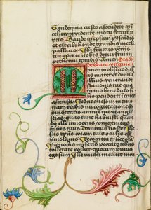 Dekorierte Initiale M