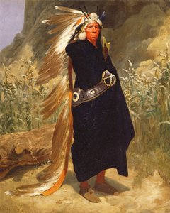 Porträt eines Indianerhäuptlings, 1875