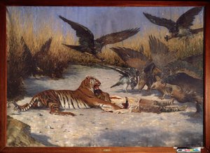 Ein Menschenfresser von Vasili Vasilievich Vereshchagin