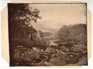 Blick vom Rasen, Dennicanniby von Vernon Heath