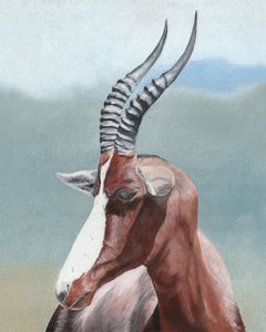 Majestätisches Blesbok-Profil
