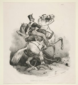 Cheval Cauchois von Victor Adam