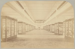 Hauptgeschichte: Vögel (Tafel III) von Victor Prevost, Gaston L. Feuardent and Co., New York