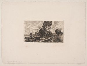 Weg durch das Moor von Viggo Pedersen