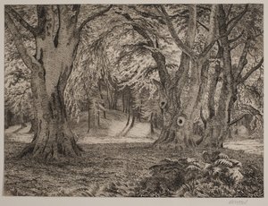Das Innere eines Waldes von Vilhelm Kyhn