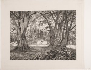 Das Innere eines Waldes von Vilhelm Kyhn