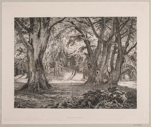 Das Innere eines Waldes von Vilhelm Kyhn