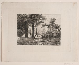 Eichen am Waldrand