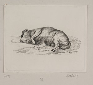 Ein liegender Hund von Vilhelm Kyhn