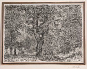 Das Haus im Wald