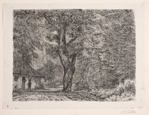 Das Haus im Wald
