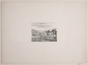 Landschaft von der Himmelbjerge-Region