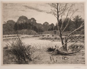 Sonnenuntergang in einem Wald von Vilhelm Kyhn