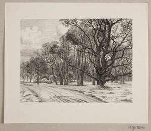 Winter im Wald von Vilhelm Kyhn