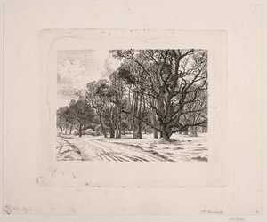 Winter im Wald von Vilhelm Kyhn