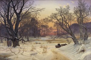 Winternacht im Wald