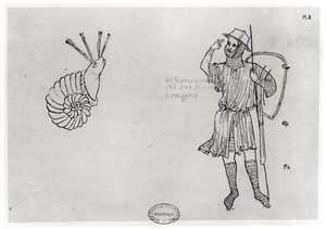 Fol.2 Schnecke und ungarischer Soldat (Faksimilekopie)