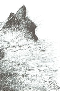Baby hält sich warm Neujahr, 2005 von Vincent Alexander Booth