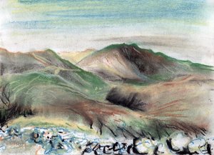 Hügel im Lake District von Vincent Alexander Booth