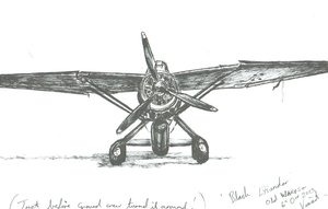 Lysander in Old Warden, 2012 von Vincent Alexander Booth