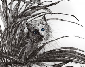 Monty Pflanze, 2015 von Vincent Alexander Booth