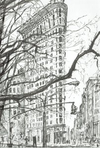 New York Flat Iron Building von Vincent Alexander Booth