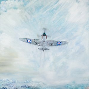 Spitfire Ass der Spaten, 2016